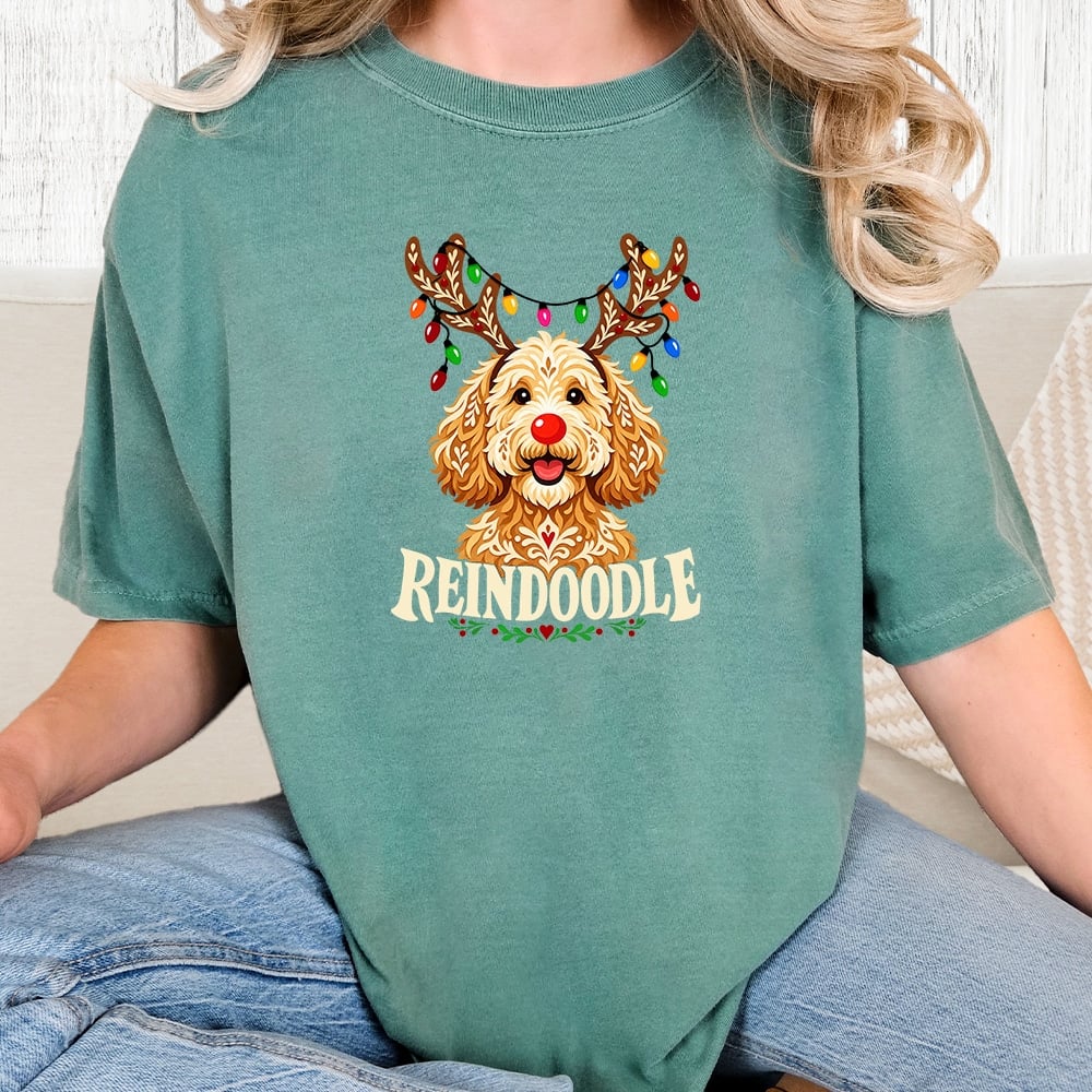 Comfort Colors Reindoodle Vintage Washed Tee - Seafoam