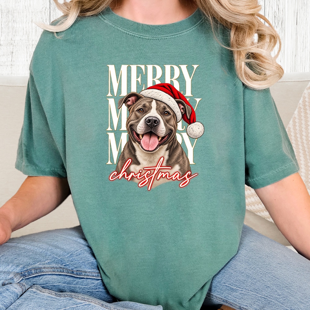 Comfort Colors Merry Merry Merry Christmas Pit Bull Vintage Washed Tee - Seafoam