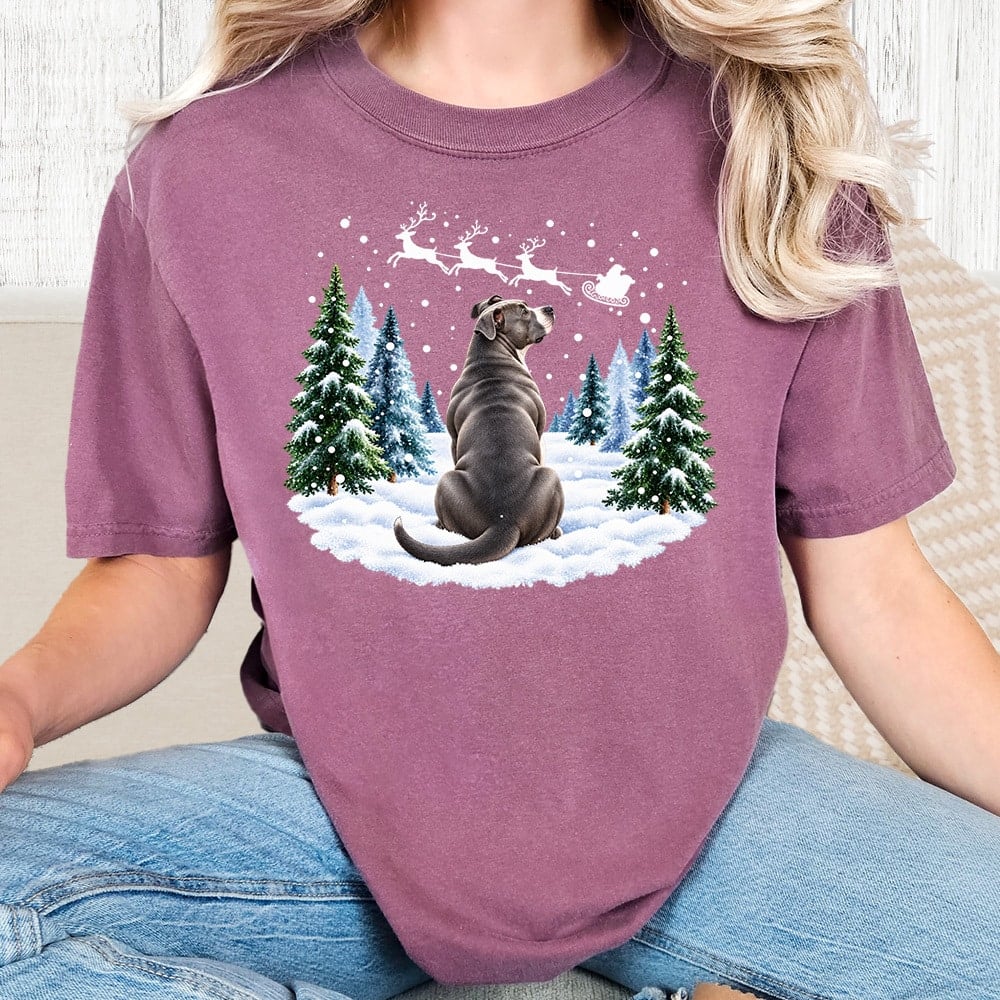 Comfort Colors Waiting For Santa Pit Bull Vintage Washed Tee - Berry