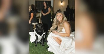 Lab Gets Starring Role at Texas Wedding as Bride's Four-Legged Twin