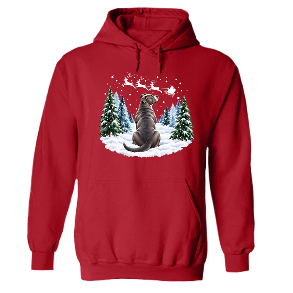 Waiting For Santa Pit Bull Hoodie Red
