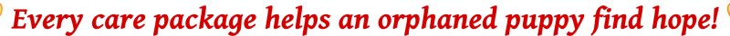 mob mob