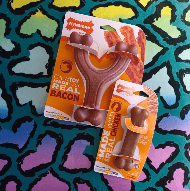 Nylabone Chew Toy Wishbone Made with Real Bacon and Nylabone Chew Toy Original Made with Real Chicken