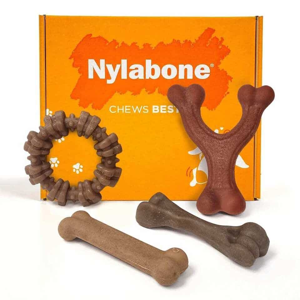 Nylabone Chew Toys with Real Meats collection — Original Bone, Wishbone, Femur, and Textured Ring in chicken, bacon, bison, and beef flavors