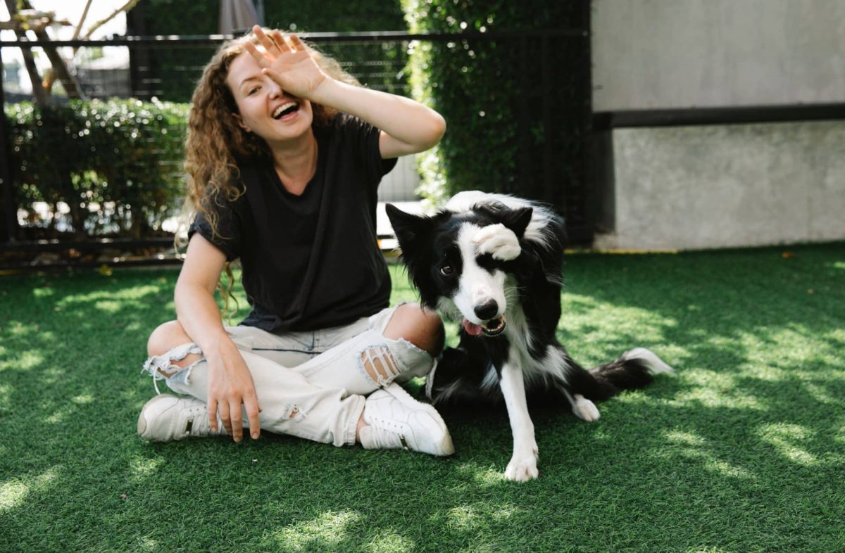 Dog capturing the intelligence, humor, curiosity, and wonderful unpredictability of canine life.