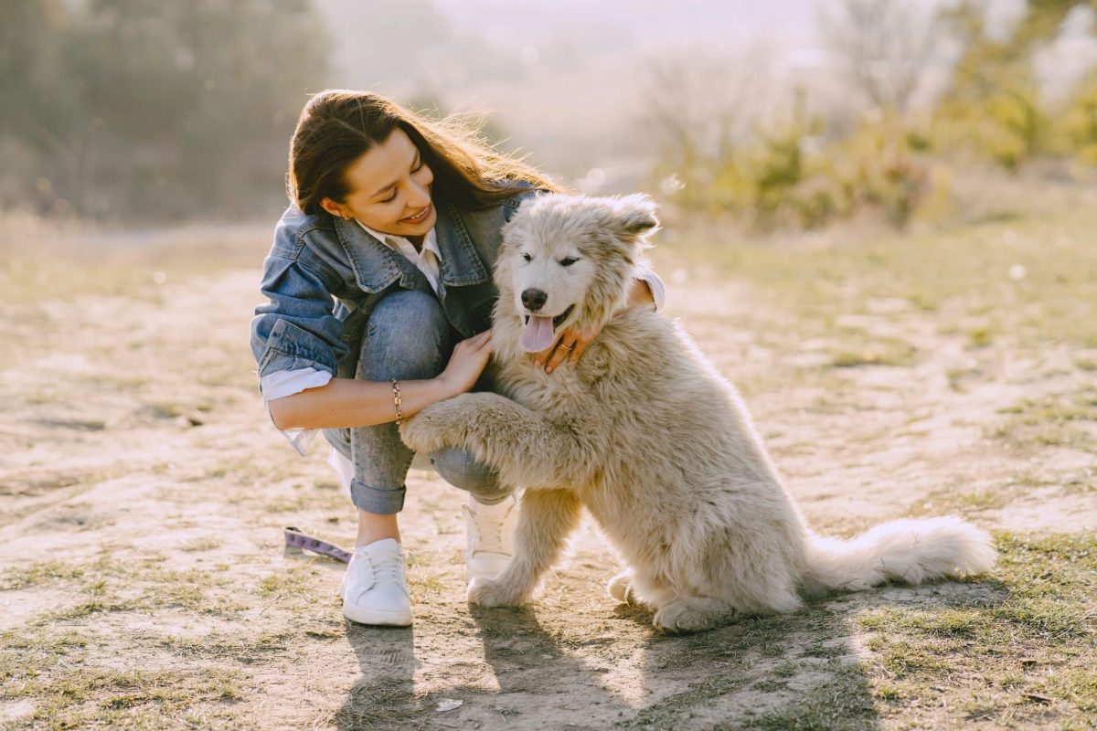 Dog showing curiosity and intelligence while exploring its surroundings, highlighting the fascinating abilities of canine companions.