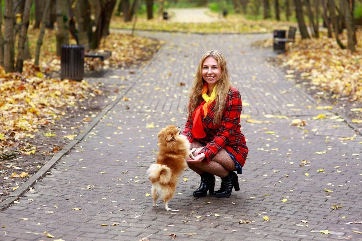 Happy dog radiating contentment, enthusiasm, and joyful connection during memorable autumn adventures.