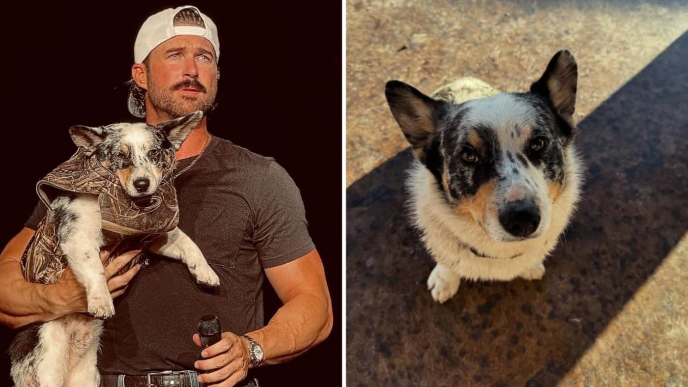 Riley Green May Be the Country Star, but His Dog Carl Keeps Stealing the Show